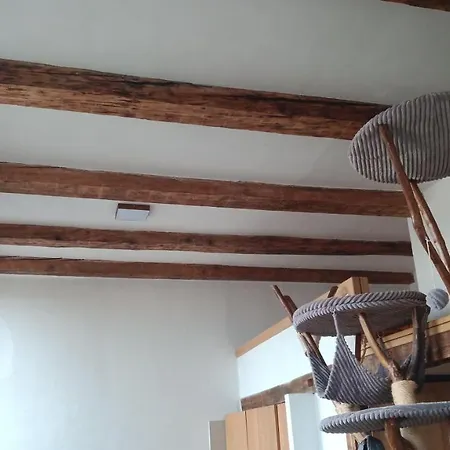 Bydleni V Centru Ov Blizko Stodolni, Bez Vytahu 俄斯特拉发