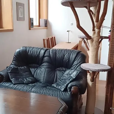 Bydleni V Centru Ov Blizko Stodolni, Bez Vytahu 公寓 *