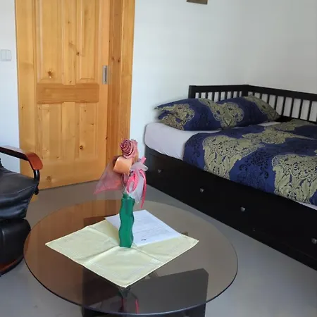 Bydleni V Centru Ov Blizko Stodolni, Bez Vytahu