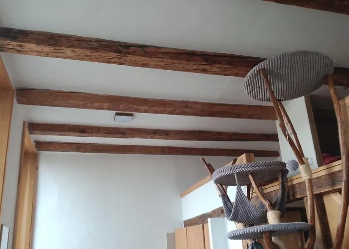 Bydleni V Centru Ov Blizko Stodolni, Bez Vytahu Ostrava