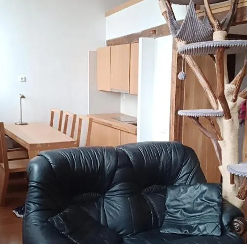 Bydleni V Centru Ov Blizko Stodolni, Bez Vytahu Appartamento *