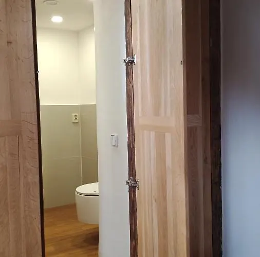 Bydleni V Centru Ov Blizko Stodolni, Bez Vytahu Ostrava