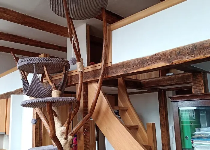 Bydleni V Centru Ov Blizko Stodolni, Bez Vytahu *