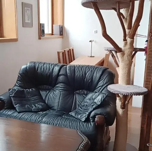 Bydleni V Centru Ov Blizko Stodolni, Bez Vytahu Appartamento *